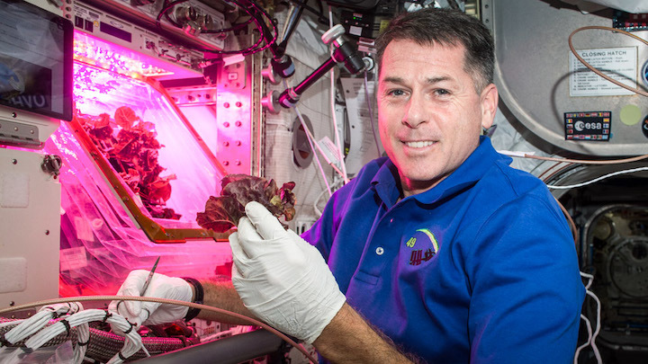 frontiers-plant-science-microbiological-nutritional-analysis-lettuce-international-space-station-1