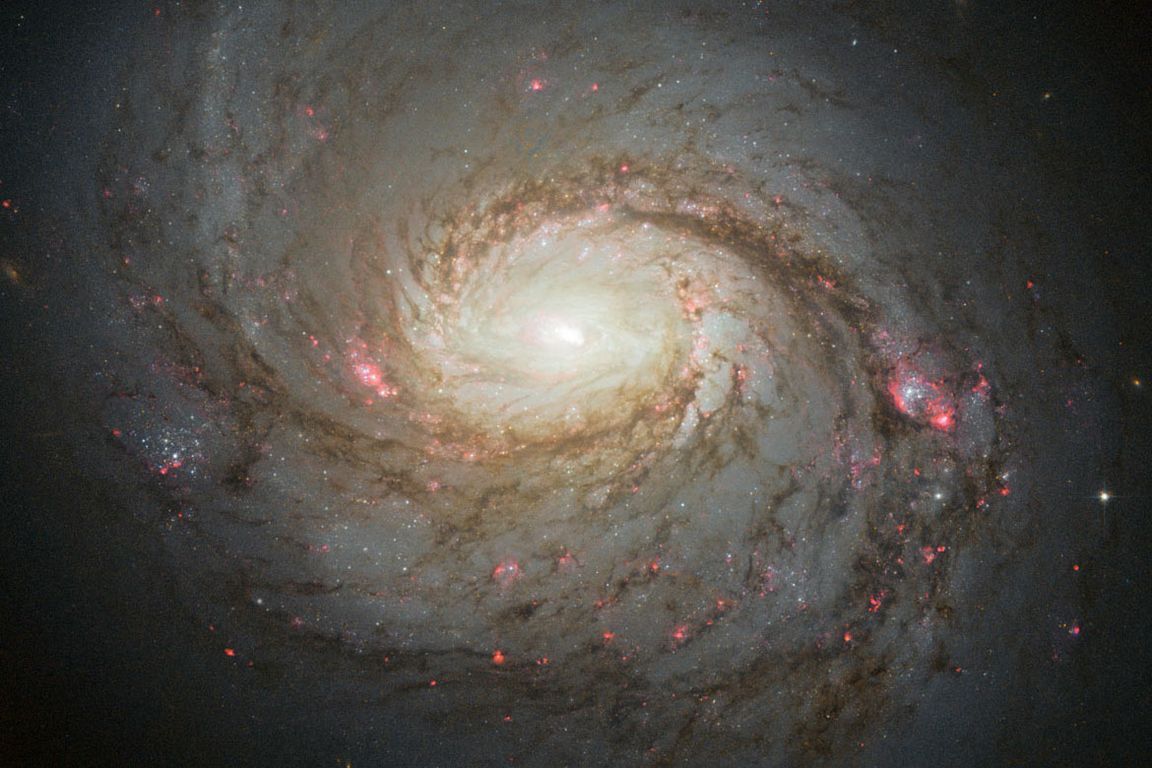 galaxy-mid