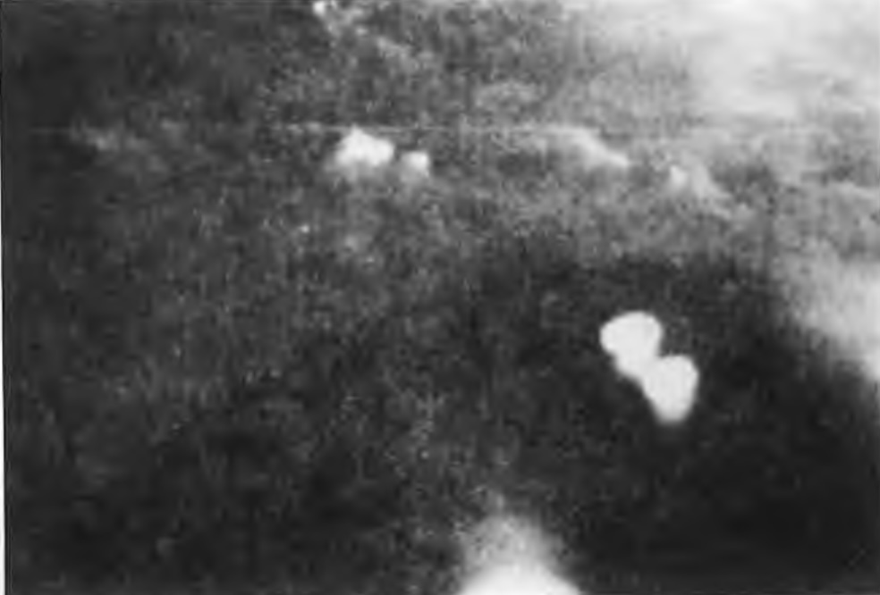 gemini-ufo-fake-foto