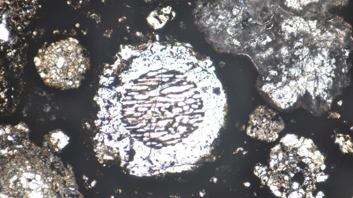 header-chondrules-in-a-meteorite-sample