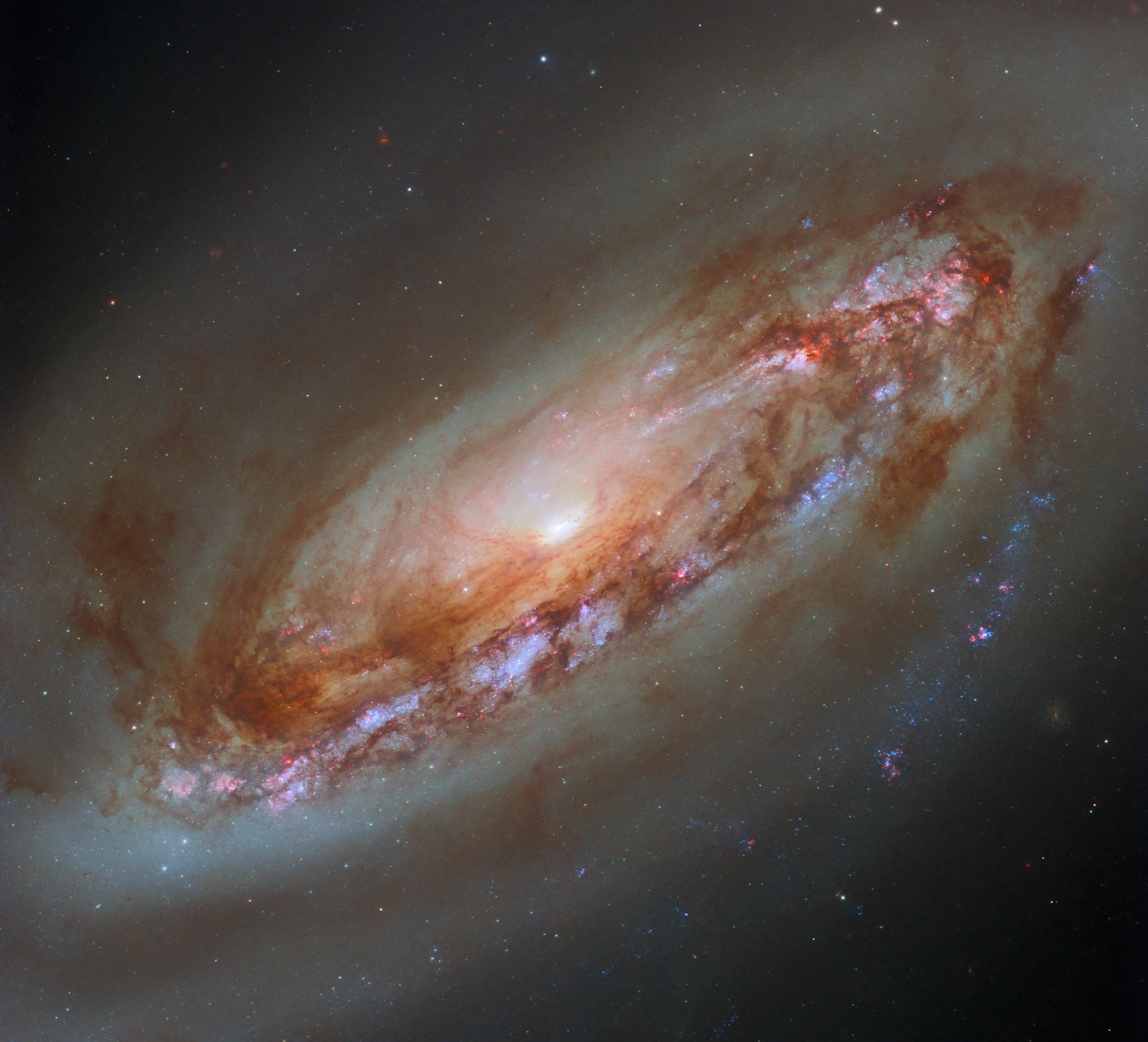 hubble-m90-potw2442a