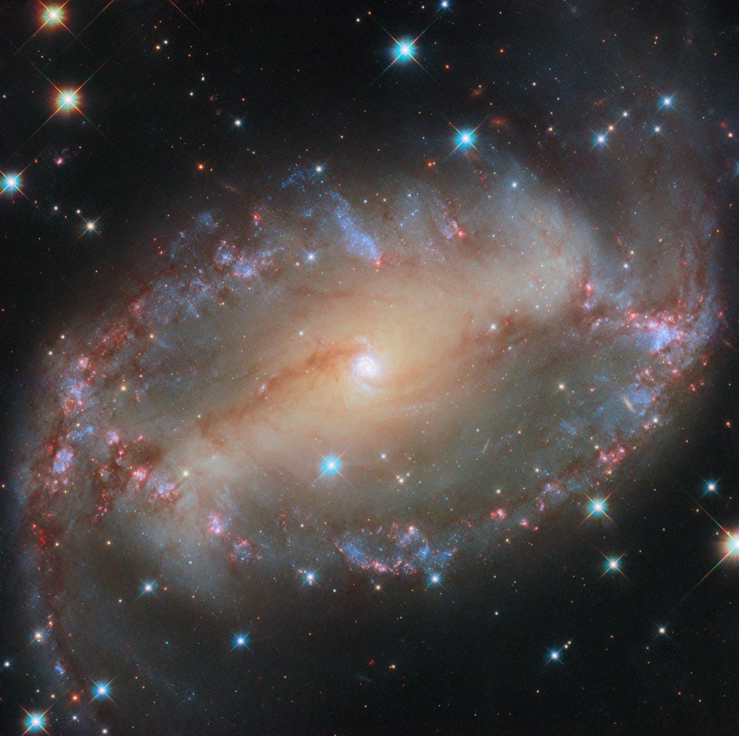 hubble-ngc2566-potw2451a