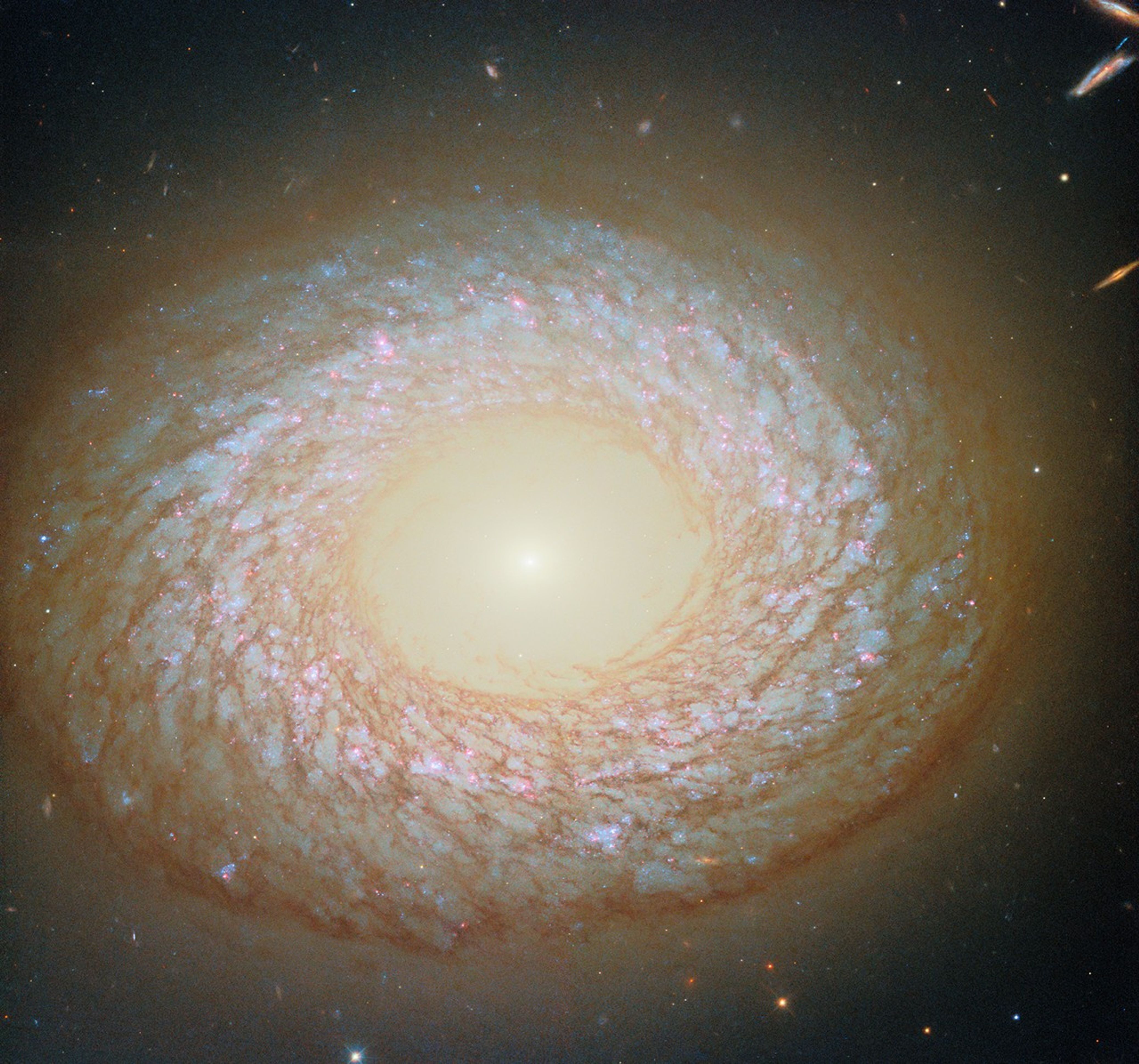hubble-ngc2775-potw2538a