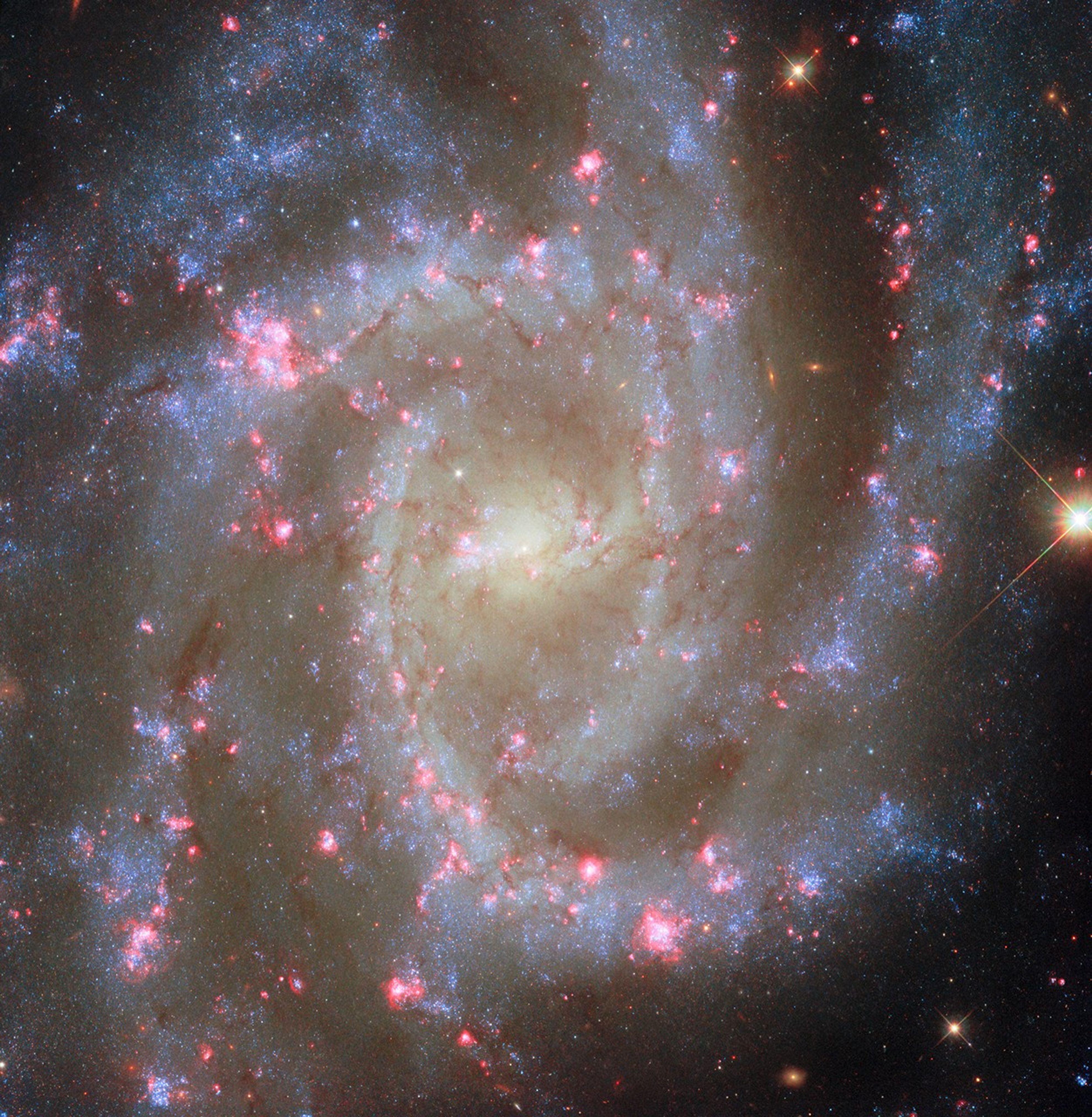 hubble-ngc2835-potw2533a