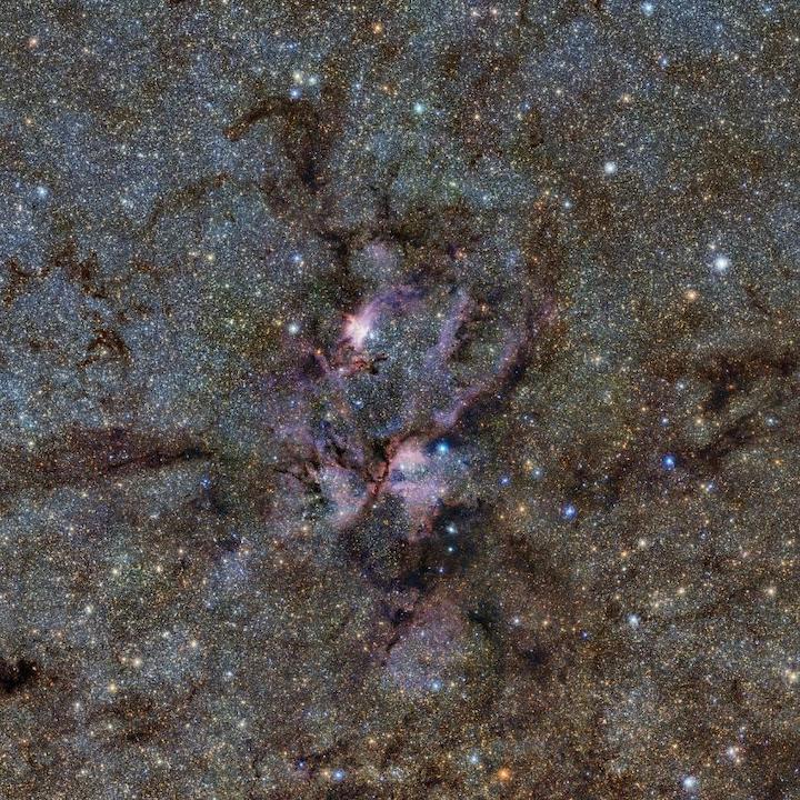 lobster-nebula-stellar-nursery