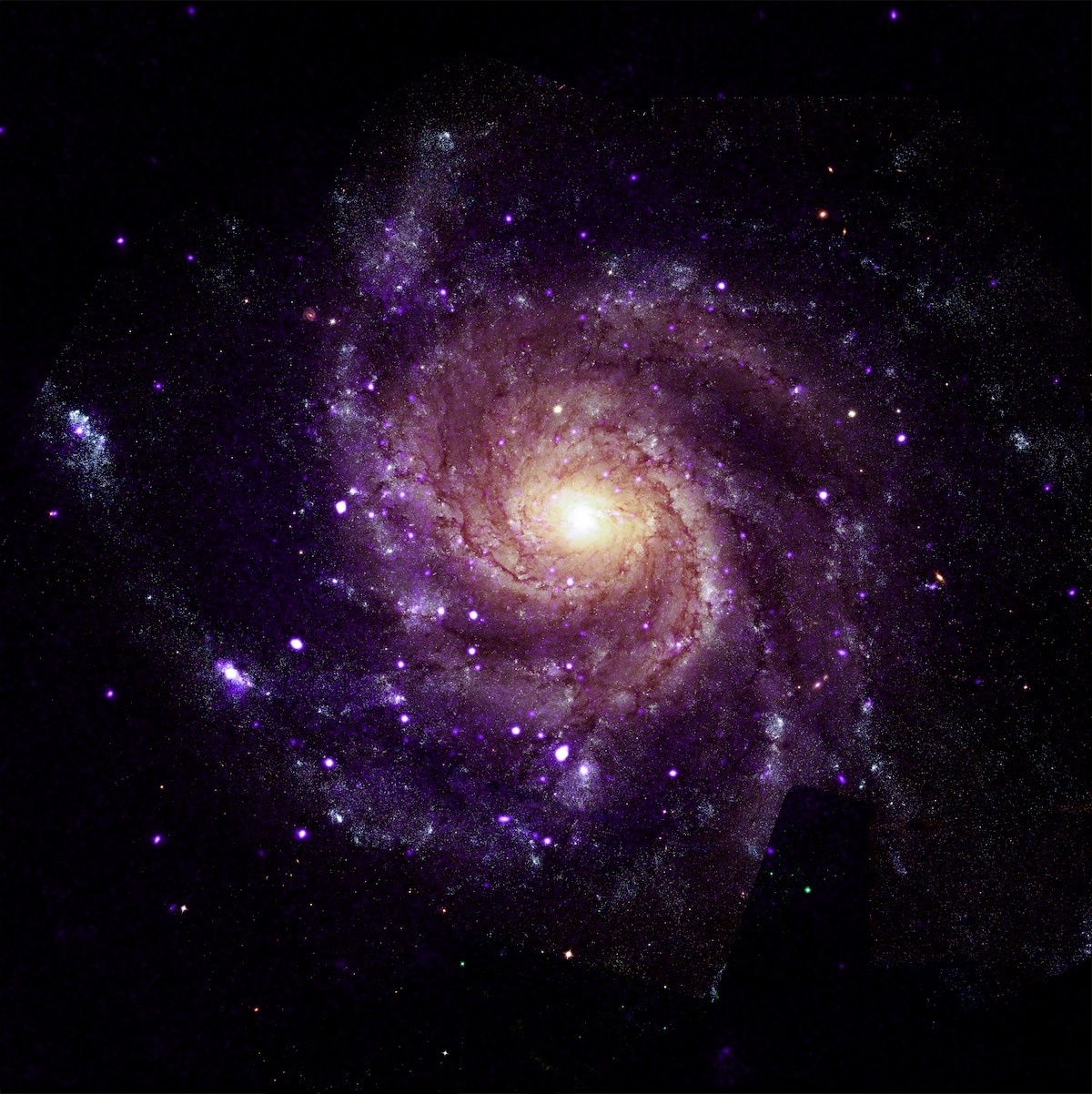 m101-lg