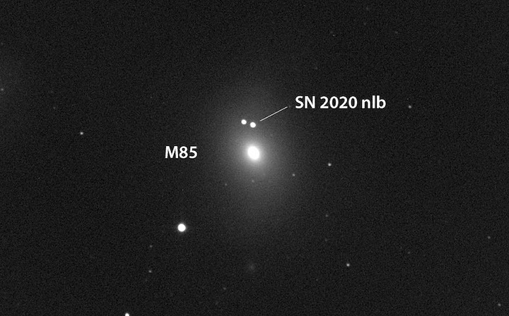m85-sn-2020-nlb-gianluca-masi-july-5