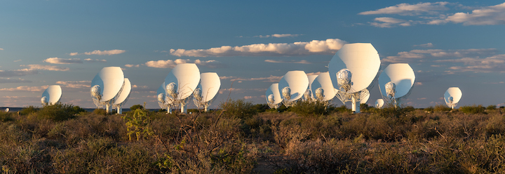 meerkat-antennas-facing-in-one-direction