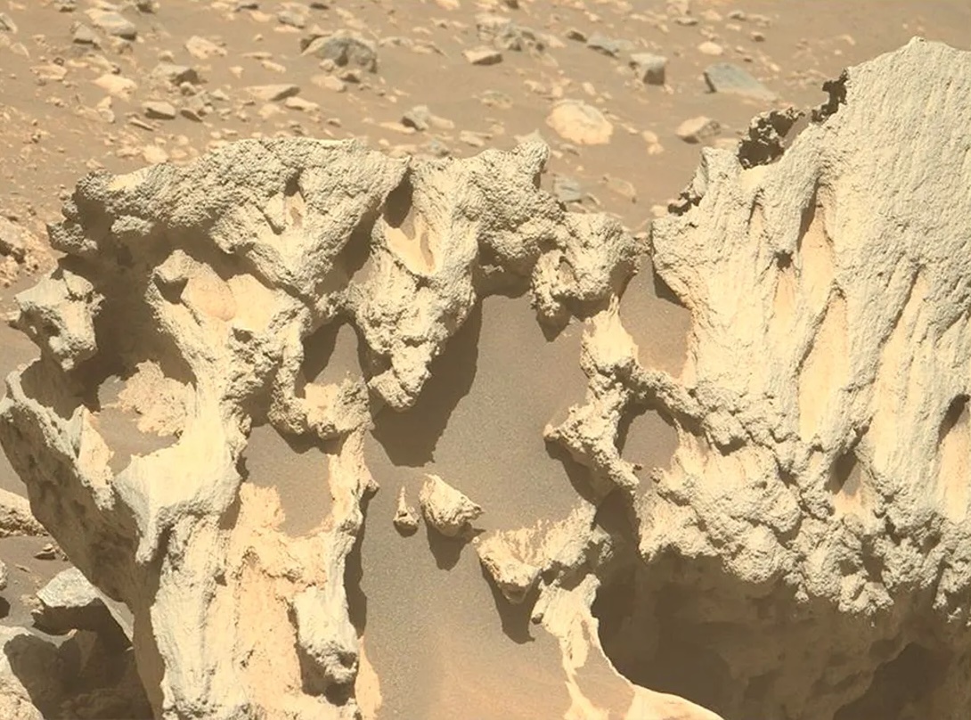 nasa-perseverance-rover-finds-possible-meteorite-on-mars-001