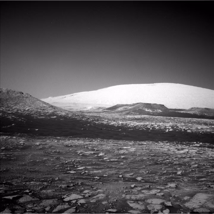 nlb-628497952edr-f0772954ncam00290m-