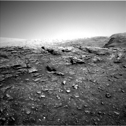 nlb-658499740edr-d0831542trav00898m-