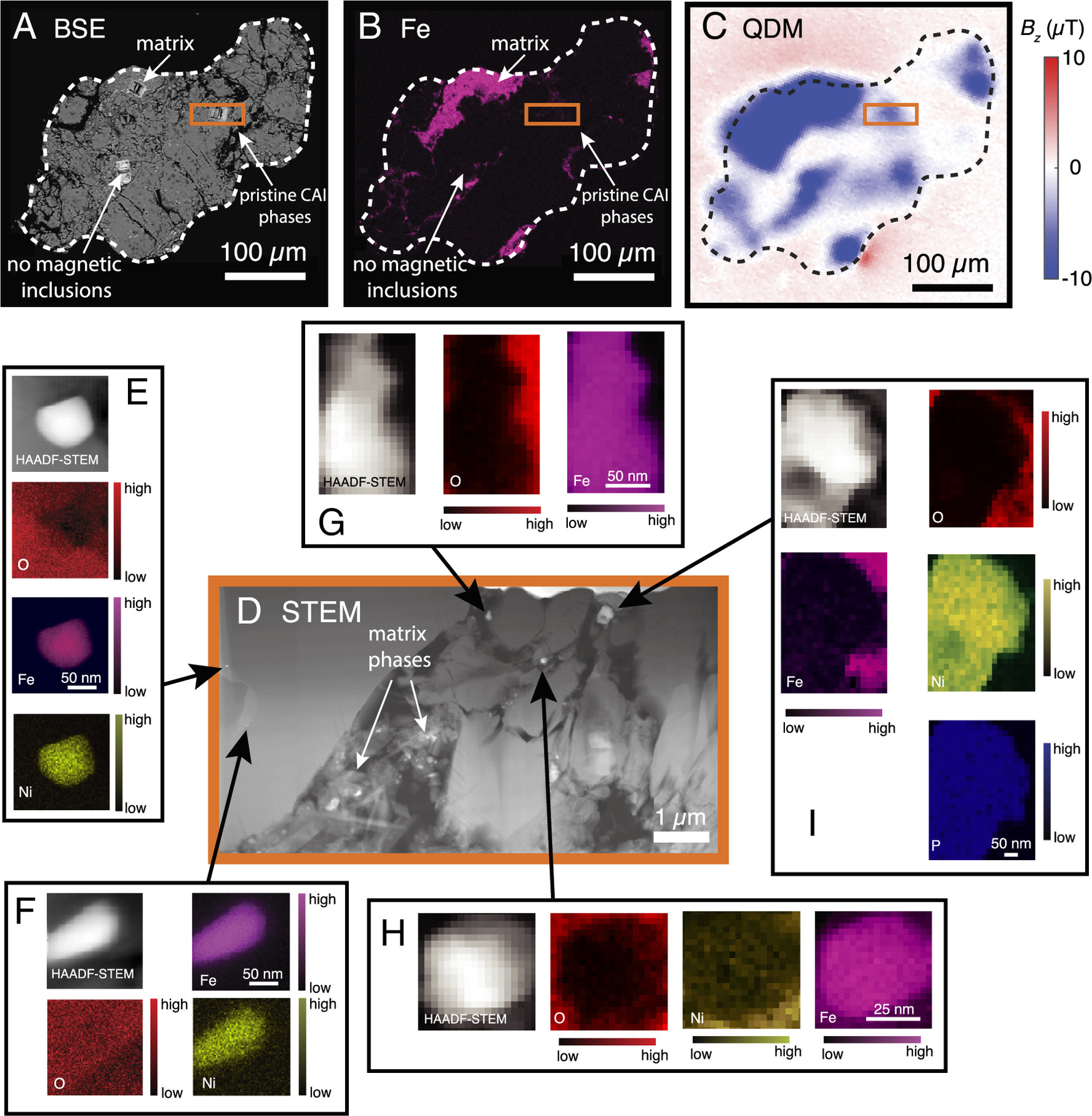 pnas2521660123fig03