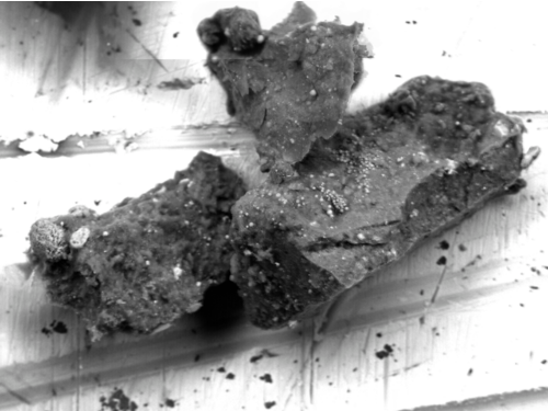 ryugu-grain-no-15-sample-plate-c0105-042-containing-djerfisherite-0