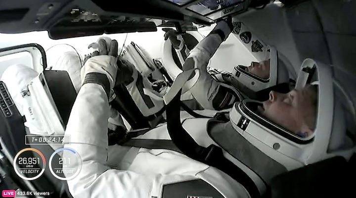 spacex-crew-9-dragon-cm