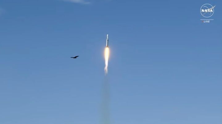 spacex-falcon-heavy-goes-u-mission-ah