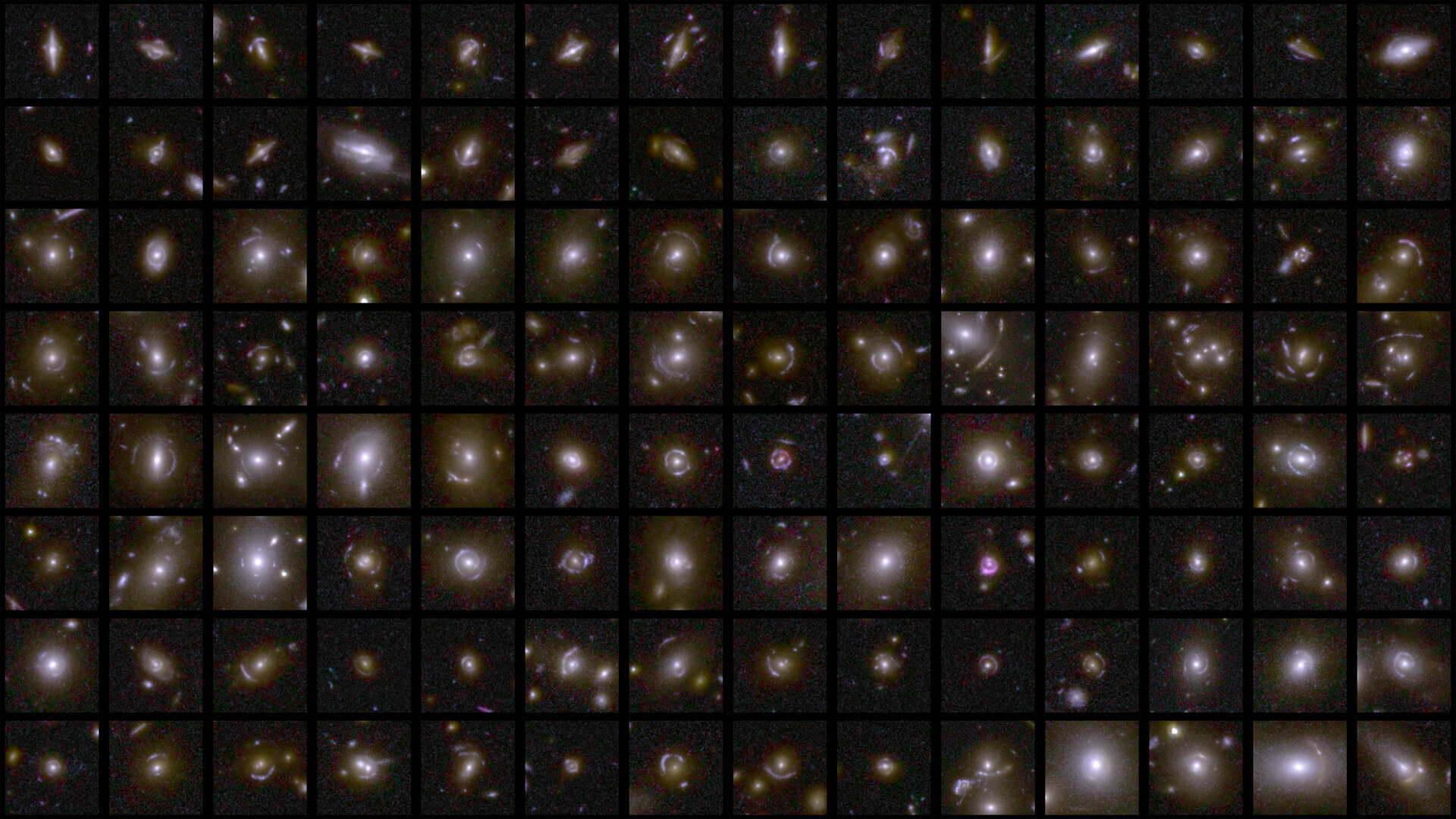 strong-gravitational-lenses-captured-by-euclid-pillars
