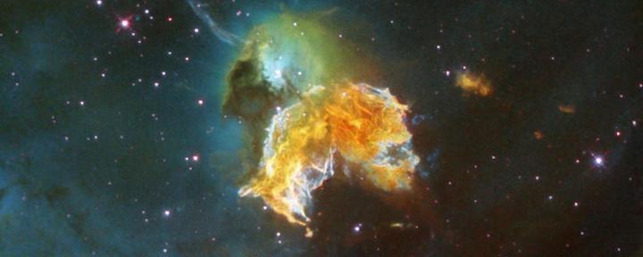 supernova-magellanic
