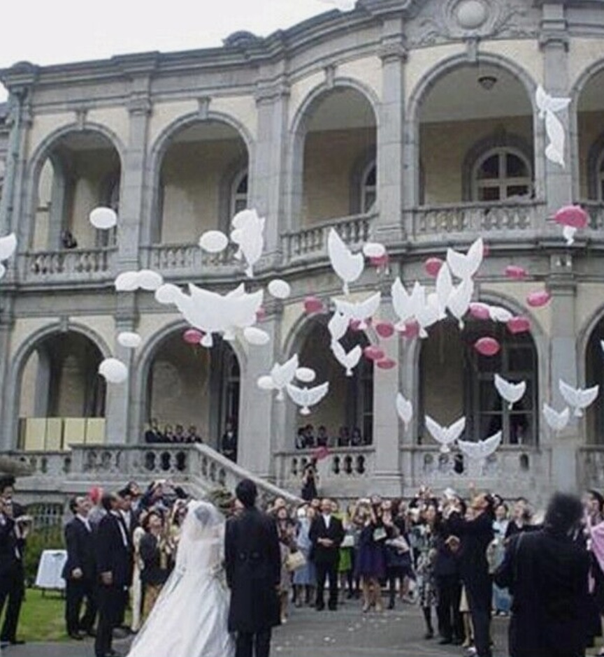 tauben-folien-hochzeitballons-ab