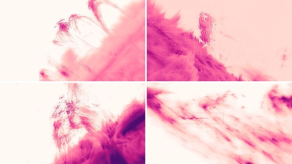 tuob7yxrvvrdxfawm7cu7d-1200-80