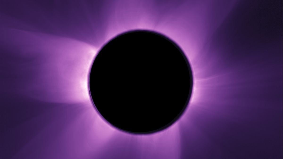 tybshwsedkqsihamskppnl-1200-80