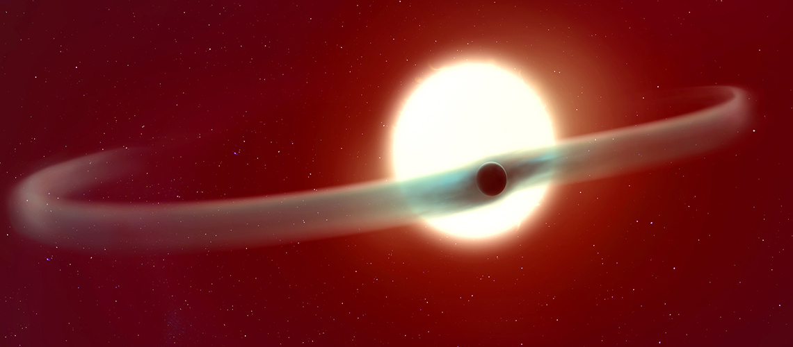 web-im-01-illust-wasp-121b-4k