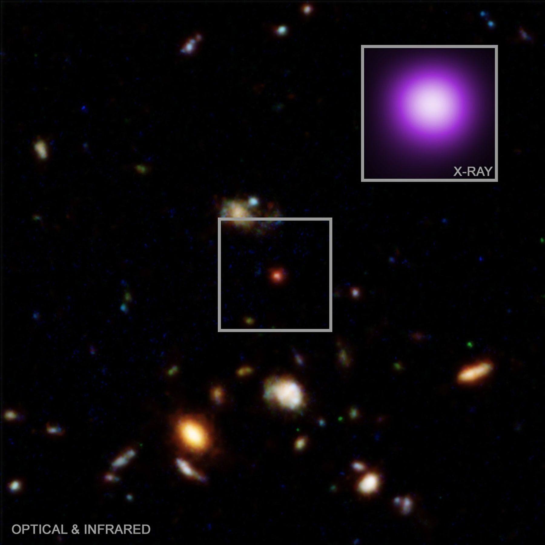 xraydot