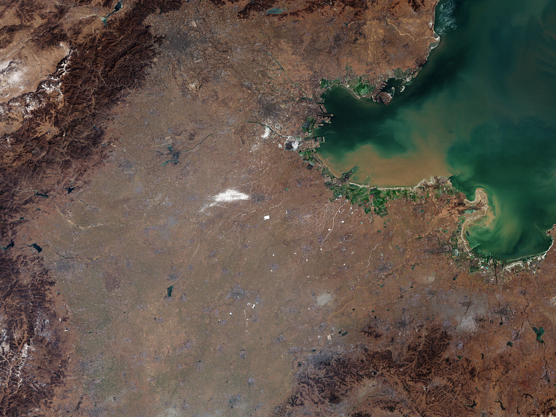 yellow-river-delta-china-pillars