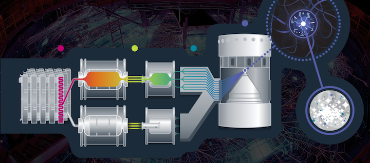 z-machineinfographic-forweb-01-1